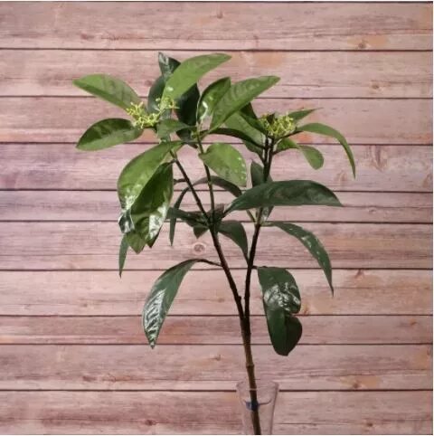 Artificial - Croton