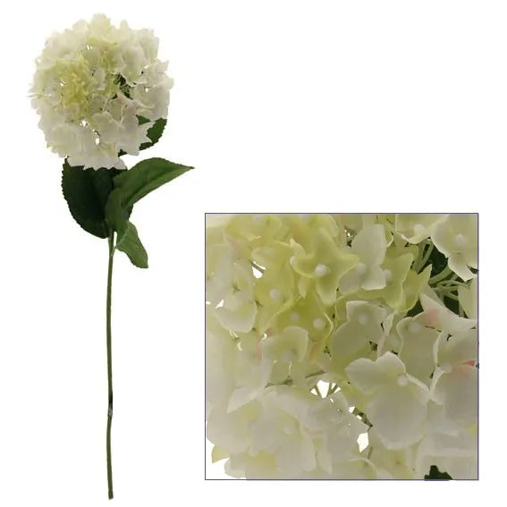 Single Hydrangea Cream (12/72)