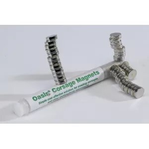 Corsage Magnets pack of 10